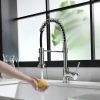 Single Handle Pull-Down Sprayer Kitchen Faucet